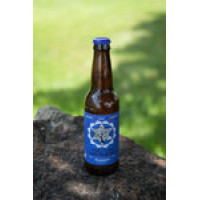 Blueberry Kombucha Tea