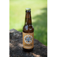 Lemon Ginger Kombucha Tea