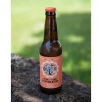 Mango Kombucha Tea