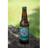 OriginalKombucha Tea