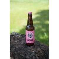 Pomegranate Kombucha Tea