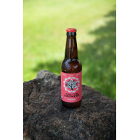 Raspberry Kombucha Tea