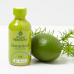 Pure Memory Botanical Energy Shot - Lime