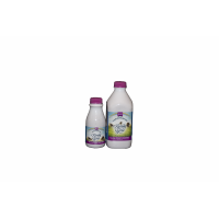 Raspberry Yogurt Smoothie 12oz
