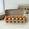 Flats- Large Brown Eggs