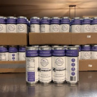 Elderberry Kombucha